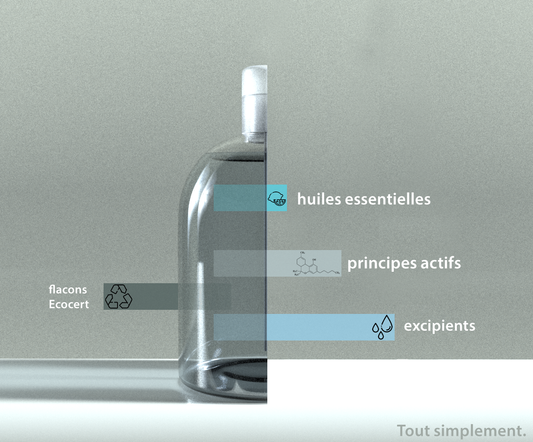 Désinfectant Air (5L)