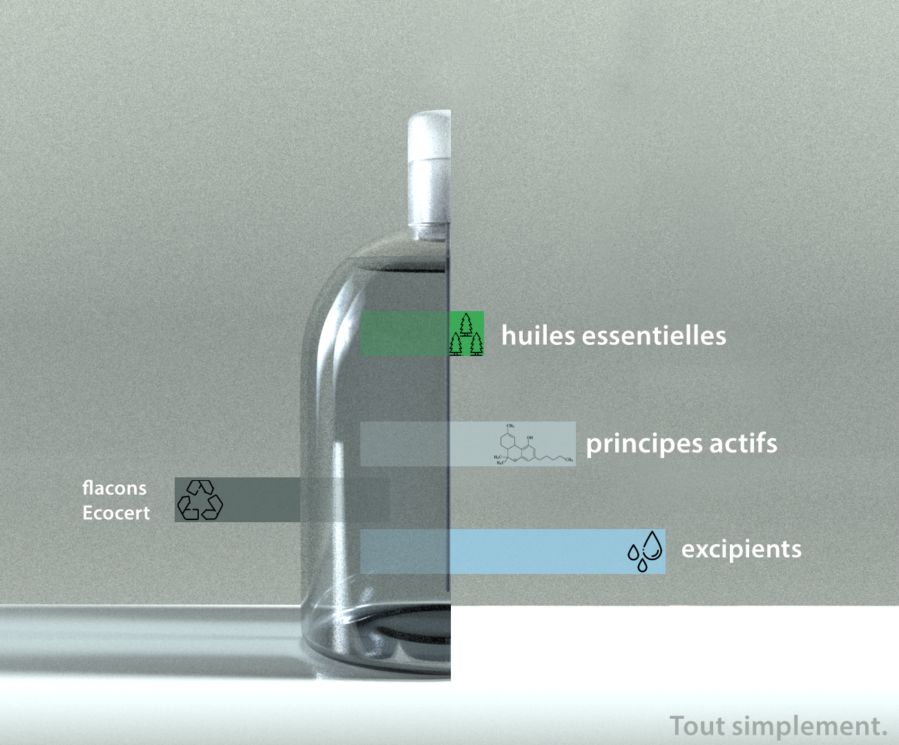 Désinfectant Locaux (5L)