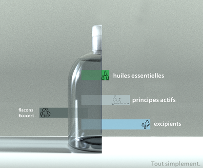 Désinfectant Locaux (5L)